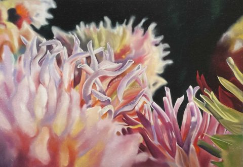 My Sea of Dahlias - Diptych