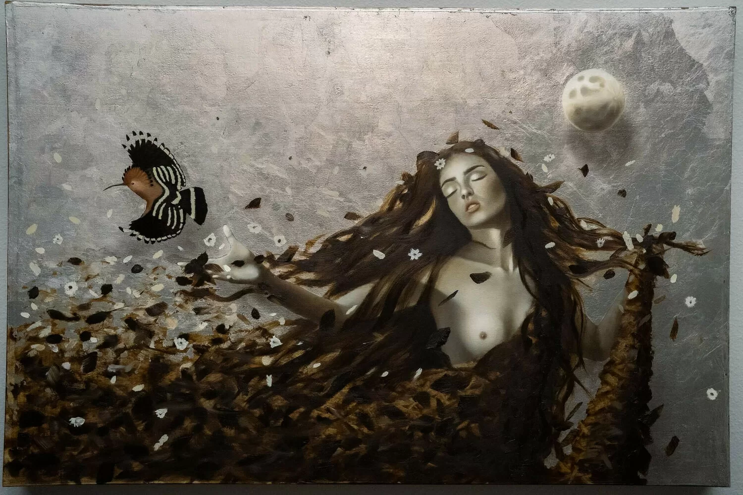 The Hoopoe's Message