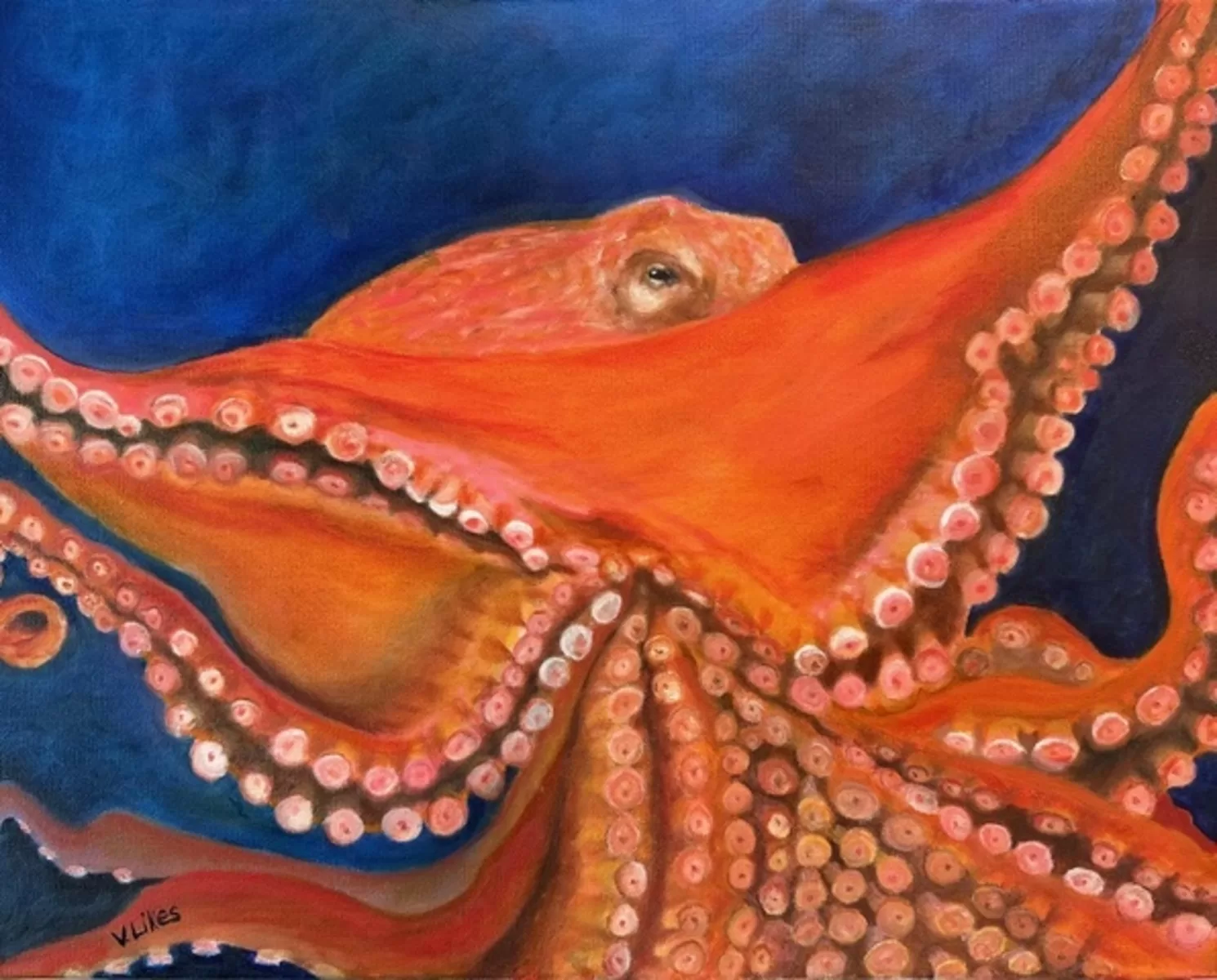 Giant Pacific Octopus