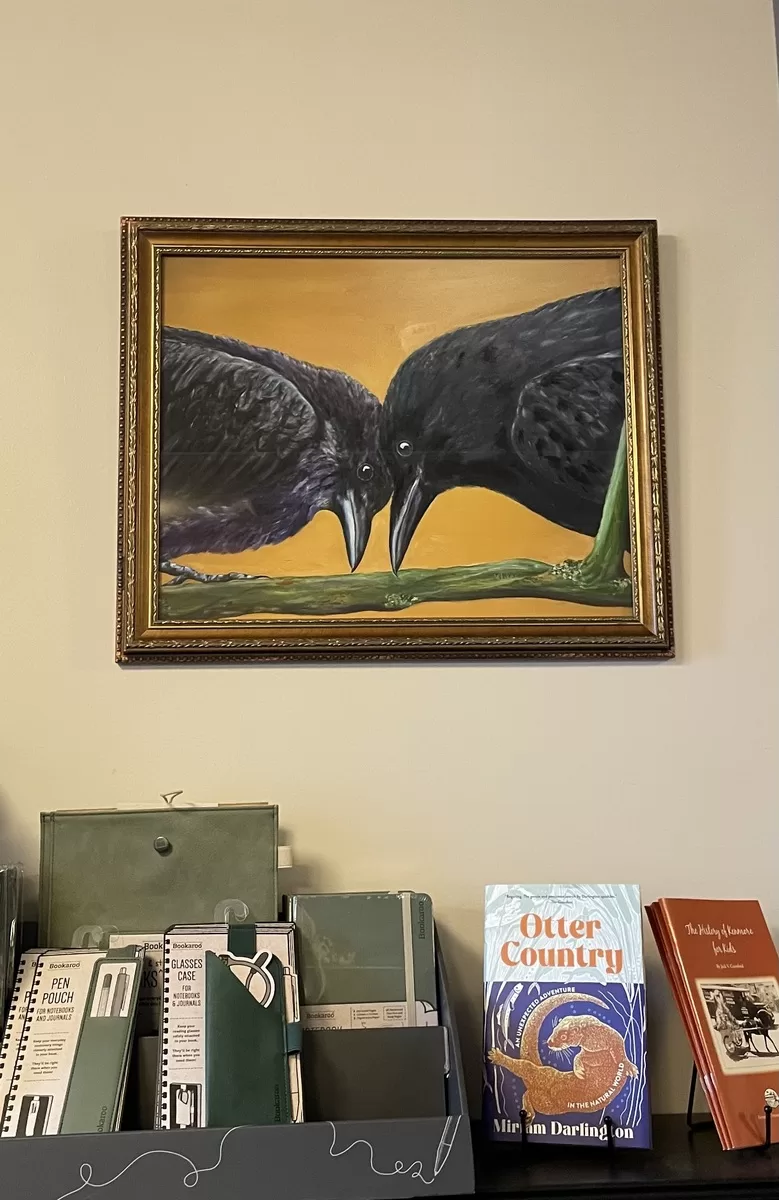 American Crows