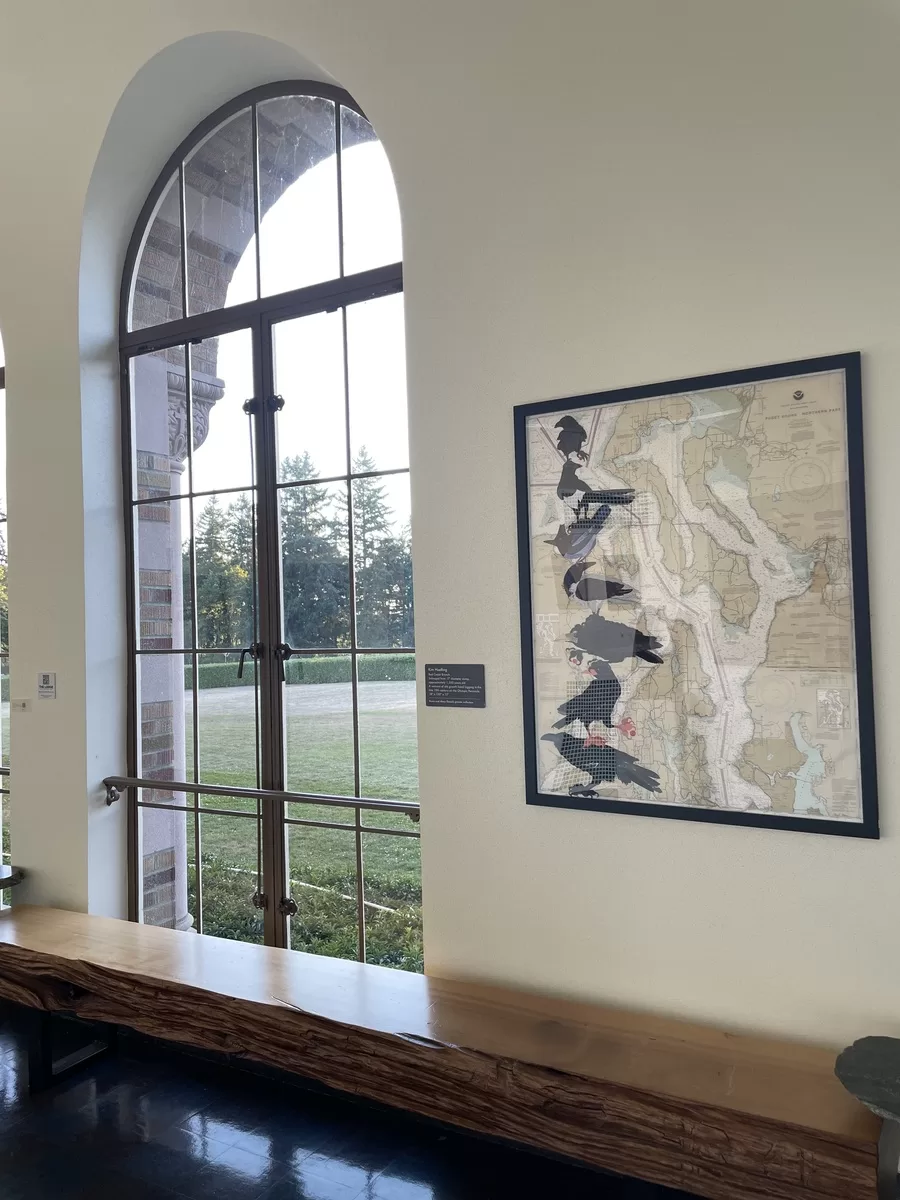 Corvid Family Reunion