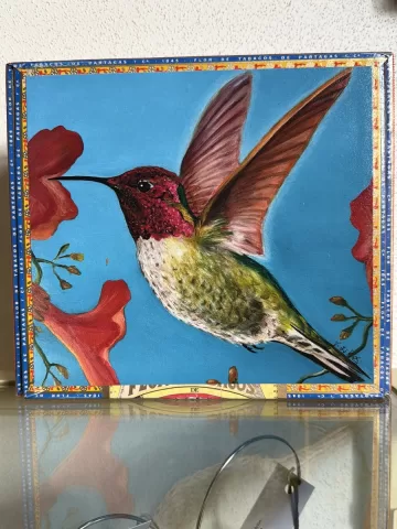 Anna's Hummingbird #2 - Cigar Box