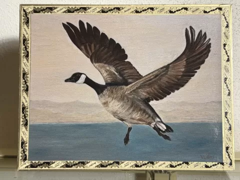 Canadian Goose - Cigar Box
