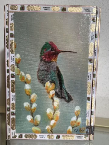 Anna's Hummingbird #1 - Med Cigar Box