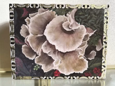 Mushroom, my pretty poison - cigar box