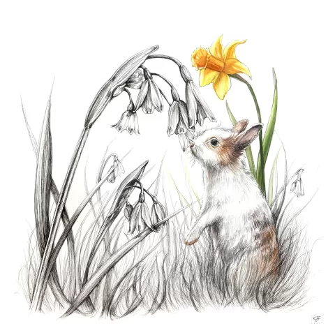 Spring