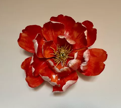 Orange Peony