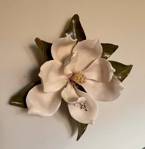 Magnolia with Seeds