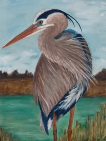 Great Blue Heron
