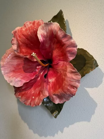 Hibiscus